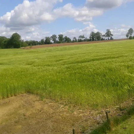 Bed & Breakfast La Gerbaudiere Chambres&table D Hotes Proche Mont Saint Michel Cuisine Maison Notre-Dame-du-Touchet