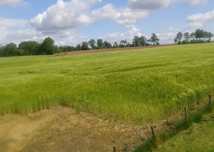 Bed and Breakfast La Gerbaudiere Chambres&table D Hotes Proche Mont Saint Michel Cuisine Maison Notre-Dame-du-Touchet